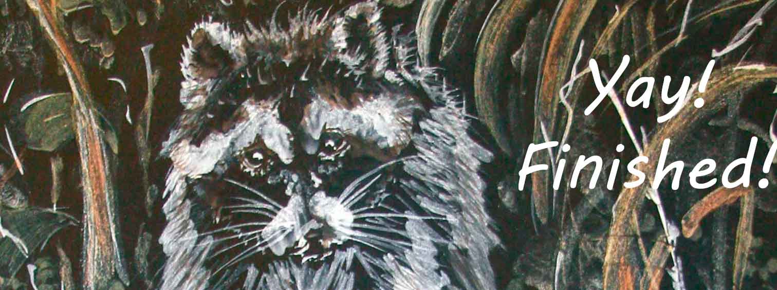 Header image for my page on painting the raccoon.