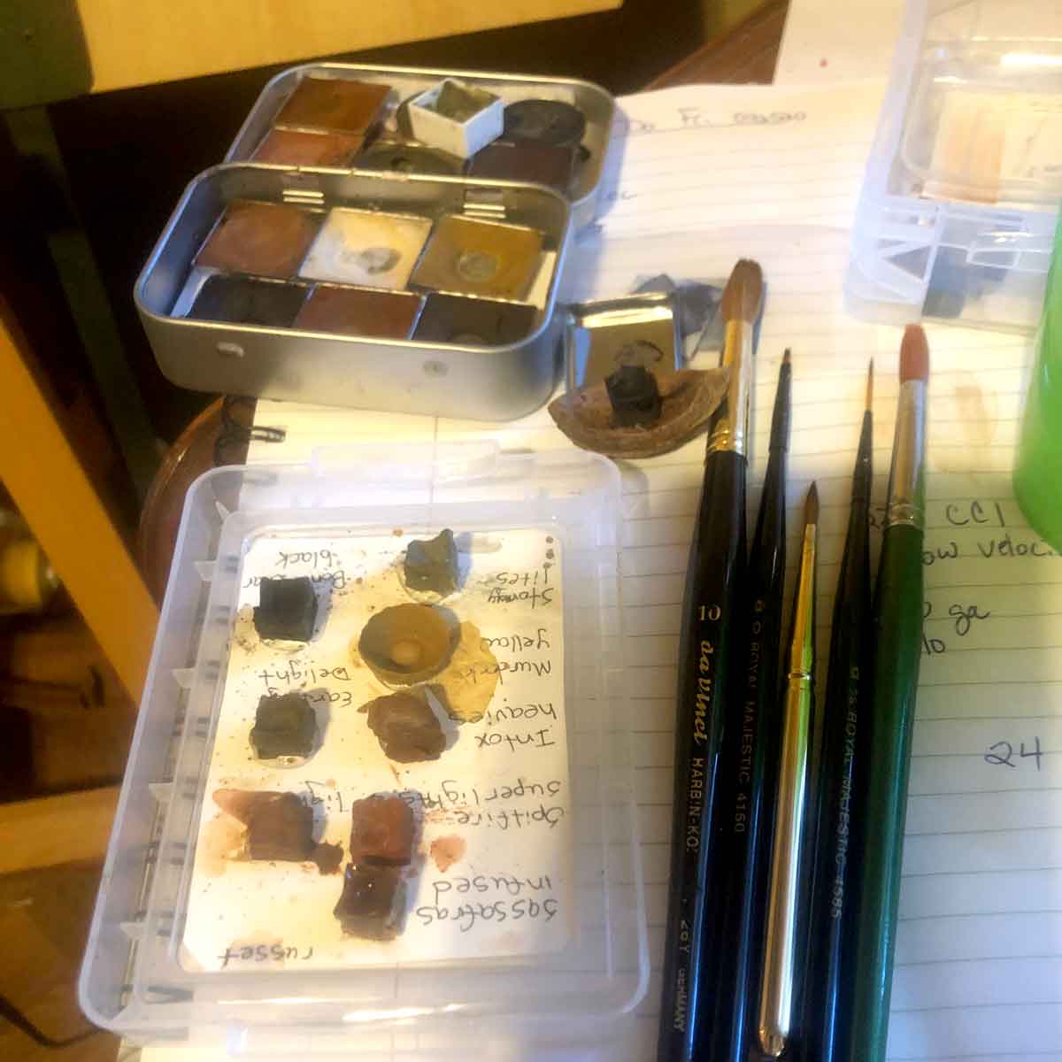 These are the brushes and pigments I'm using for this raccoon painting.