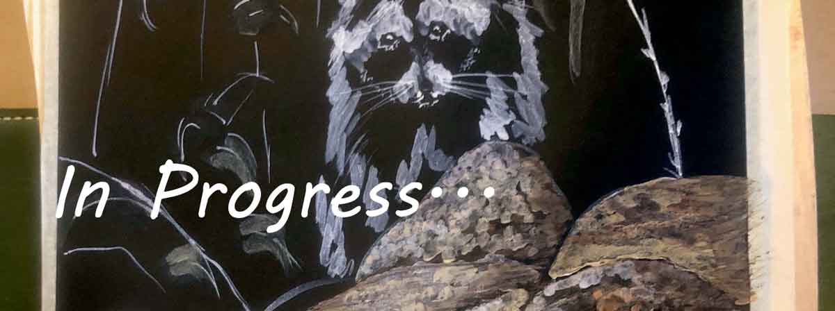 Raccoon painting in progress. Ozark watercolor pigments on black paper.