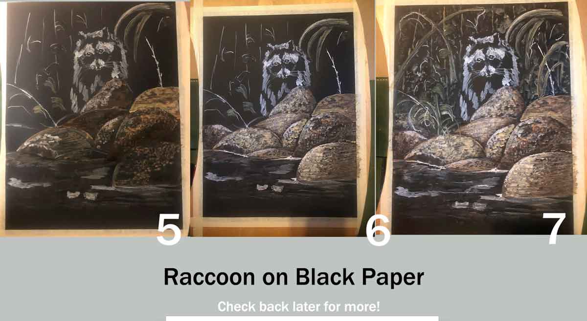 Progress pics of my raccoon painting.