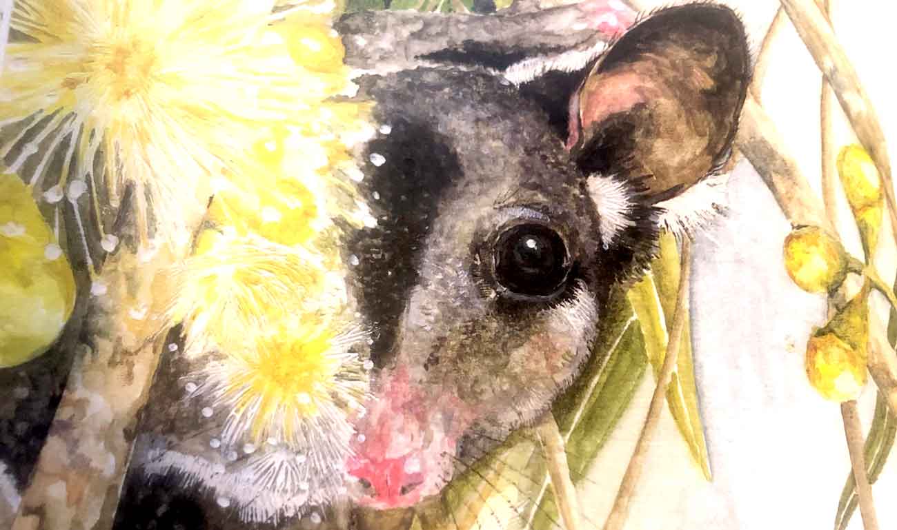 A sugar glider painted by Daryl Dickson, author of the book I just reviewed.