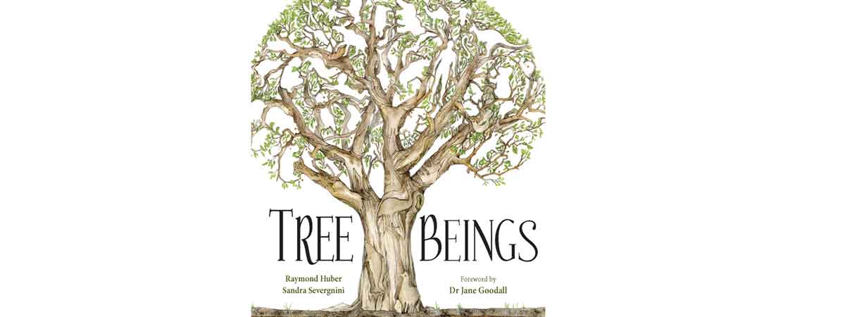 The cover of Tree Beings by Raymond Huber and Sandra Severgnini