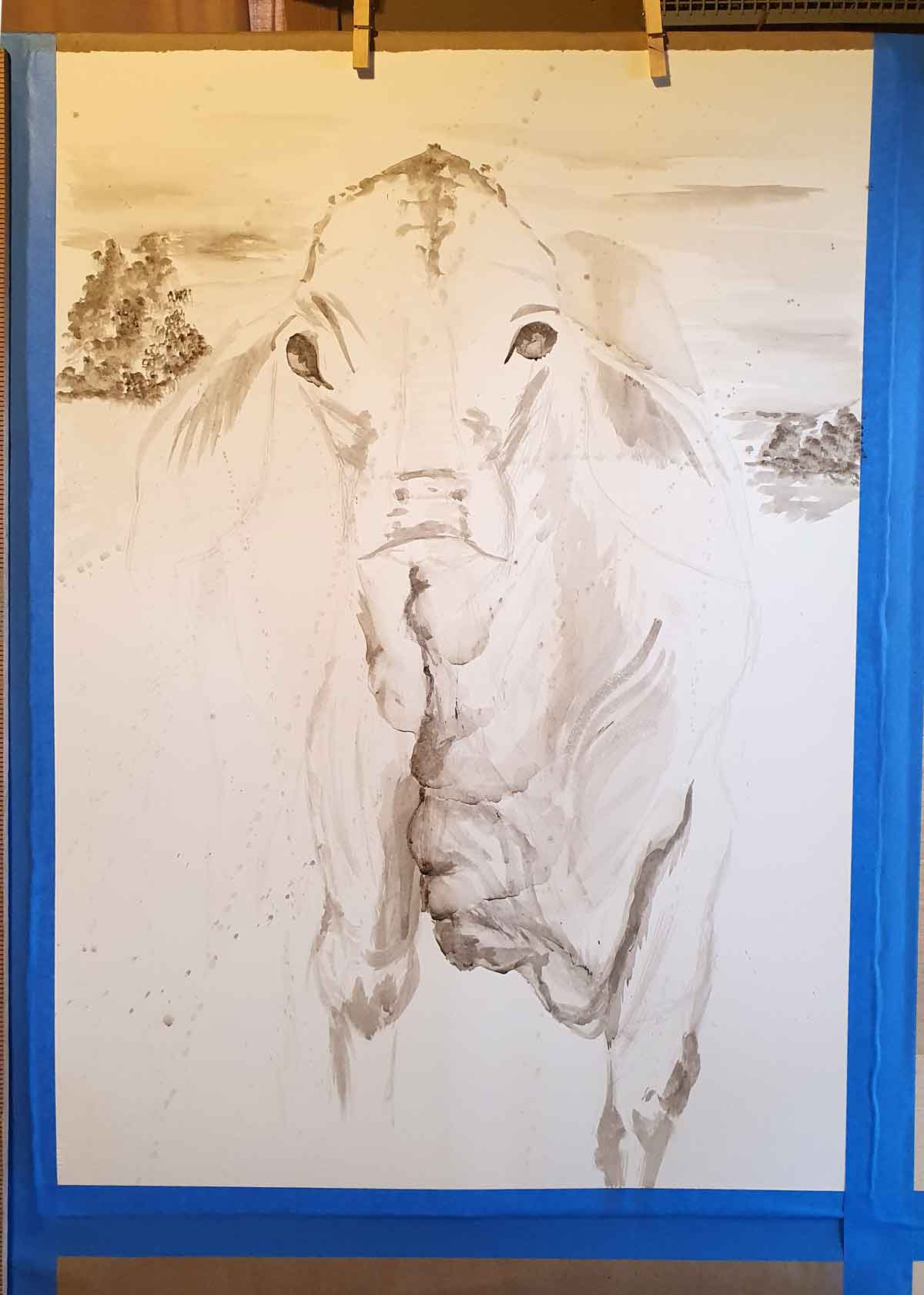A cow portrait in progress, using bone pigments from Wild Ozark.