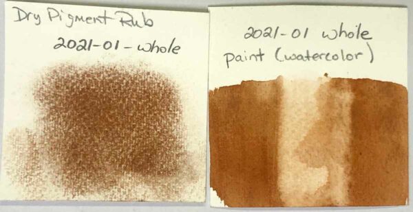 The paint and dry pigment rub swatch for Paleo Paint pigment #2021-01 Whole