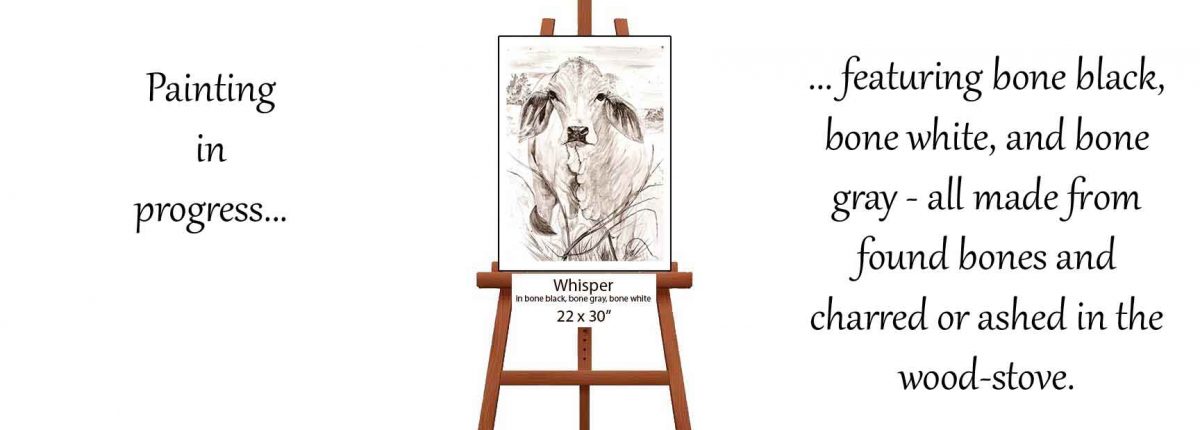 Progression of my Brahman cow painting.