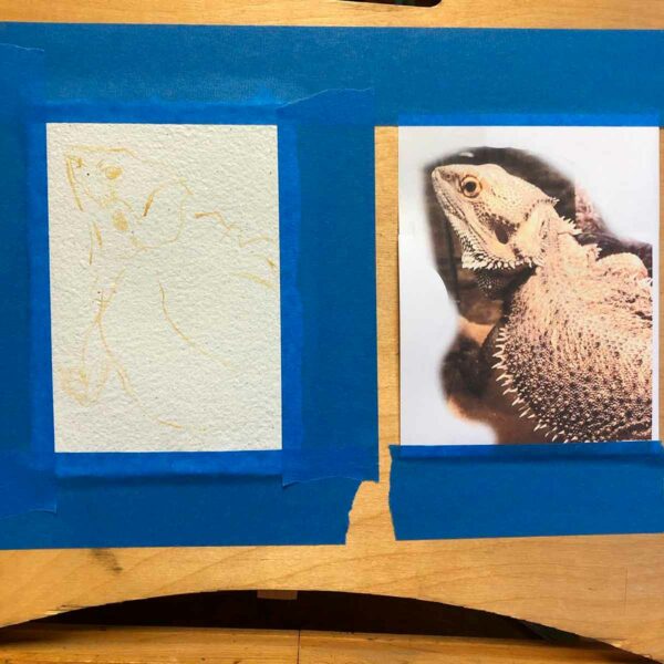 Here's the process of my bearded dragon painting.