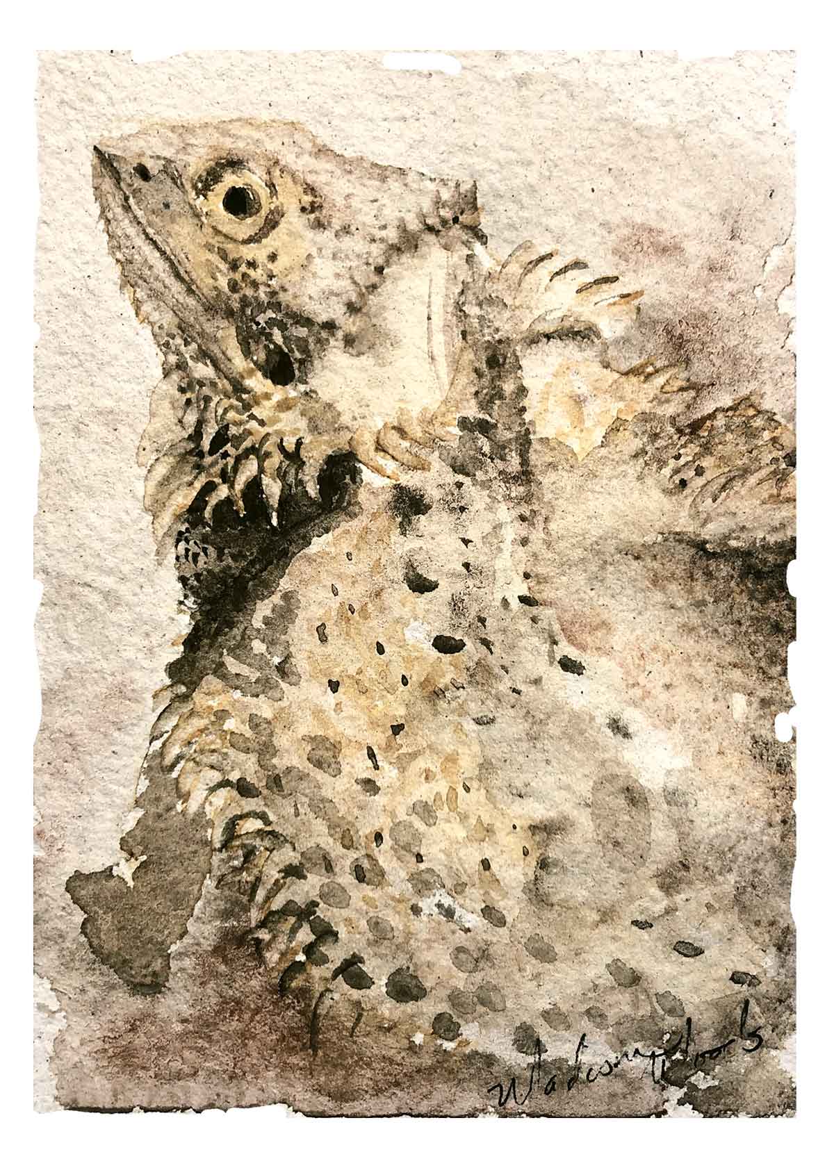 Petunia, the Bearded Dragon
