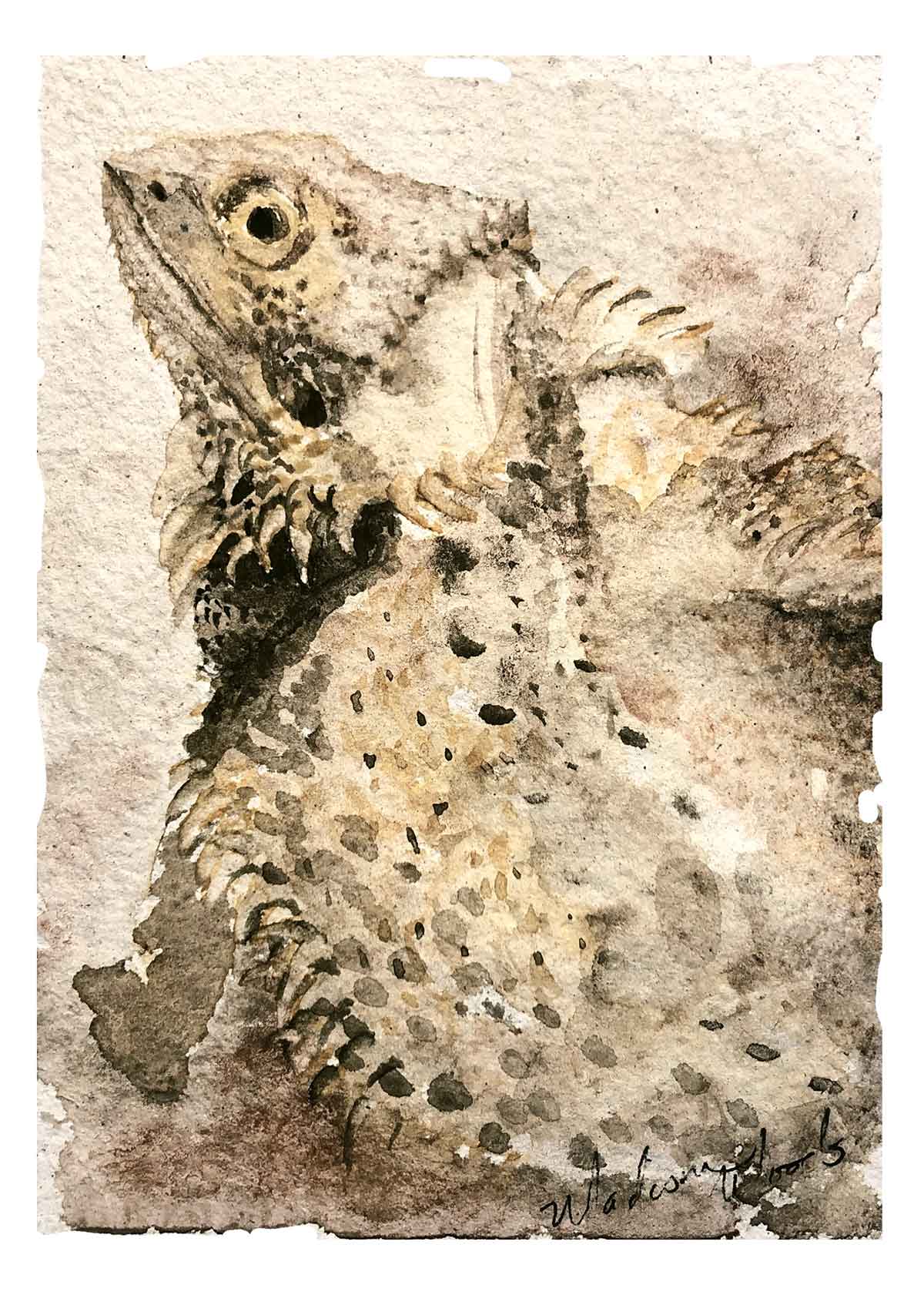 Petunia, the Bearded Dragon