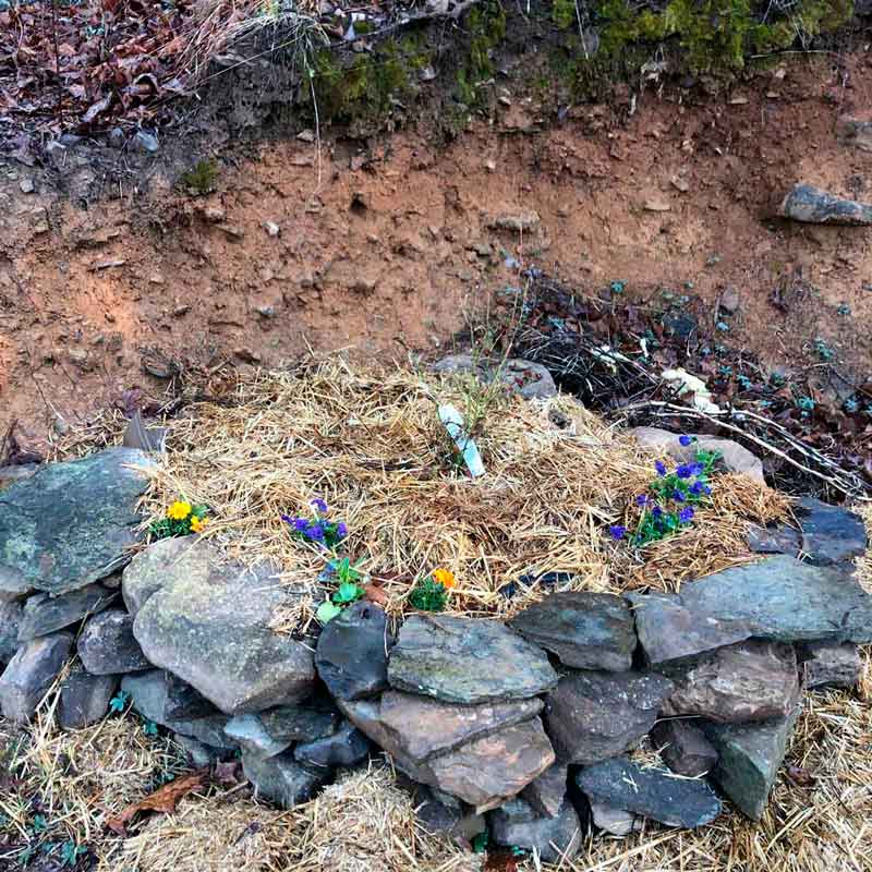 One of my early spring activities are building garden beds with rocks. This one has a blueberry bush planted, along with some pansies and violas.