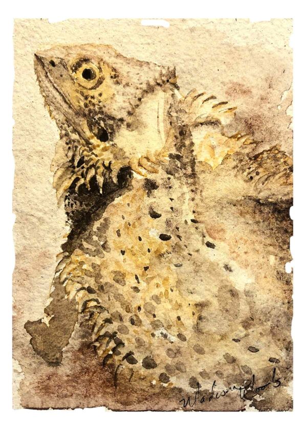 Petunia, the bearded dragon who was my first reptile pet portrait.