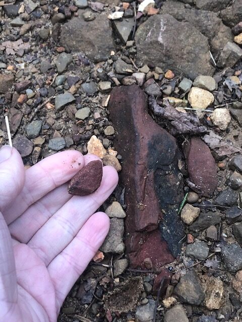 A pigment rock on the driveway, a sandstone just like the one that first sparked my interest in making paints and painting.