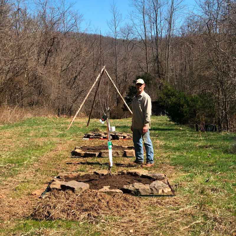 Rob and his fruit trees. He also had to move rocks to build the beds for these, but the tractor can at least go right up to this spot.