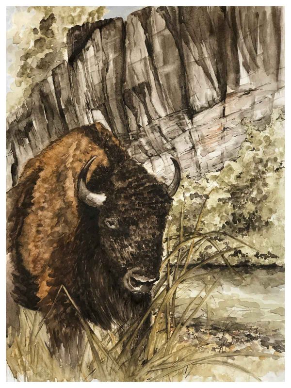 An image of my buffalo/bison painting. Namesake is heading to the Big Apple soon! It'll hang in a show at the Salmagundi Club from Oct. 25-Nov. 5, 2021.