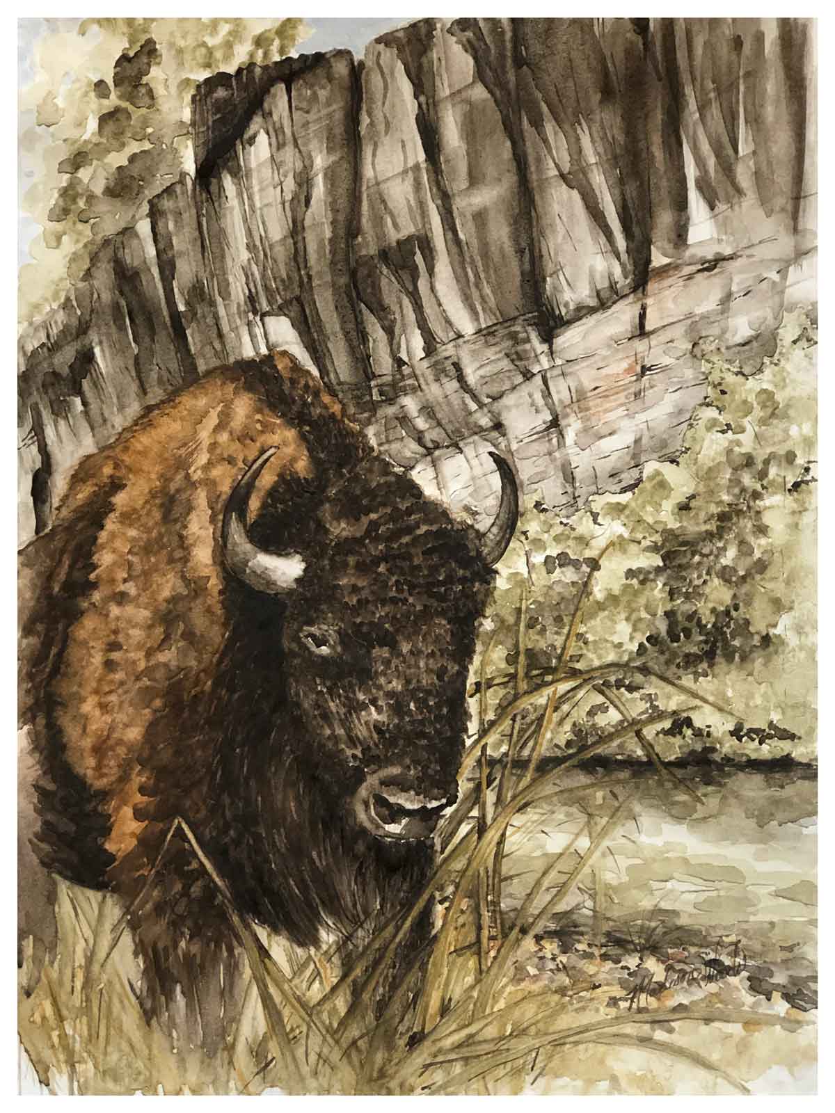 How Did the Buffalo National River Get its Name? | “Namesake”