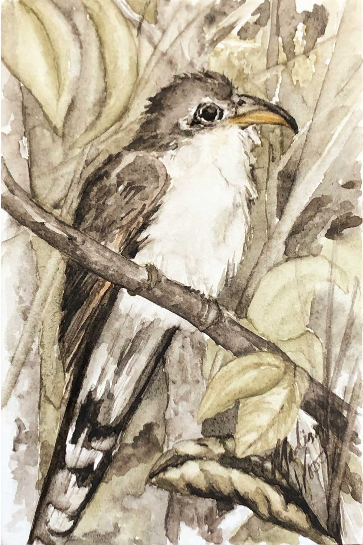 Yellow-billed Cuckoo, in Ozark Pigments by Madison Woods