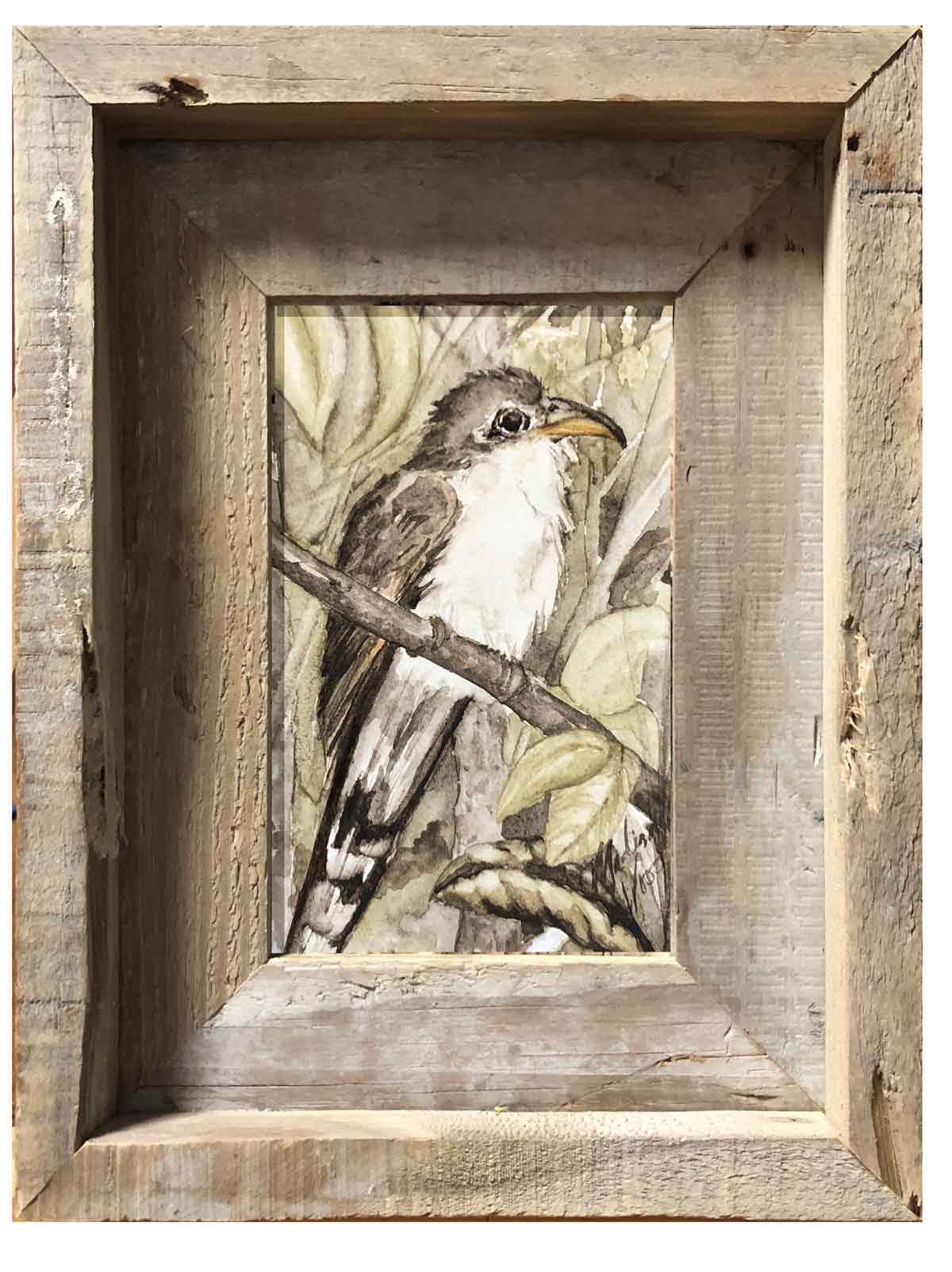 Original art by Madison Woods, Yellow-Billed Cuckoo (Rain Crow)