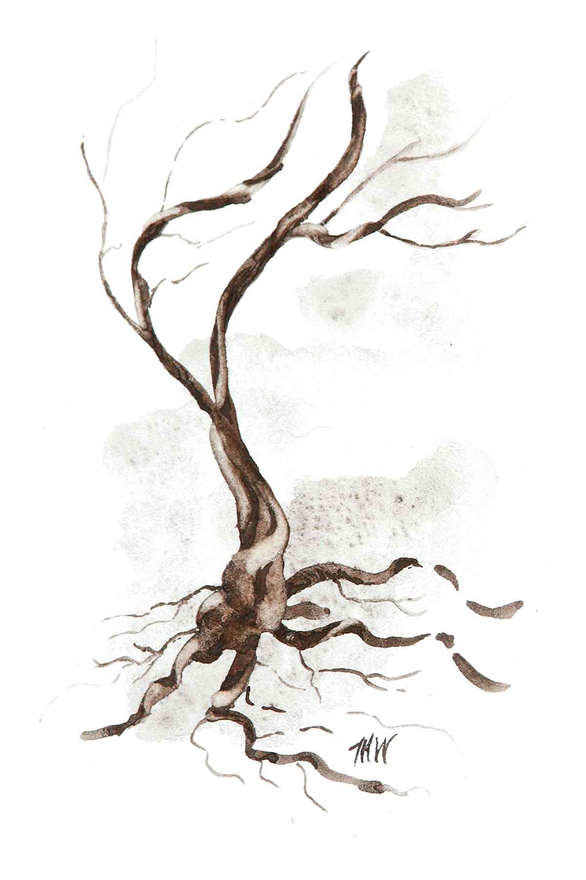 Monochromatic painting of a twisted tree using a black sandstone.
