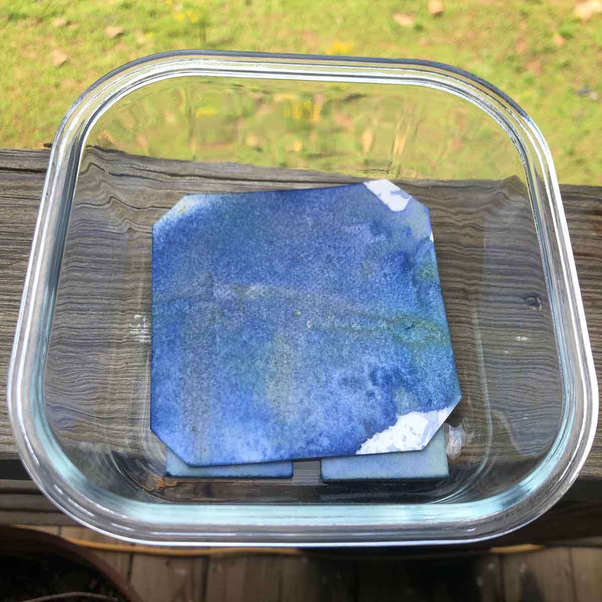The result of one day's worth of blue pigment foraging. That's a 4" x 4" square, and it's not saturated yet.