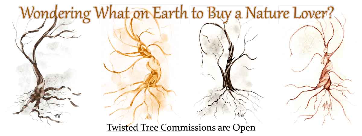 What to buy a nature lover - twisted trees from Madison Woods!