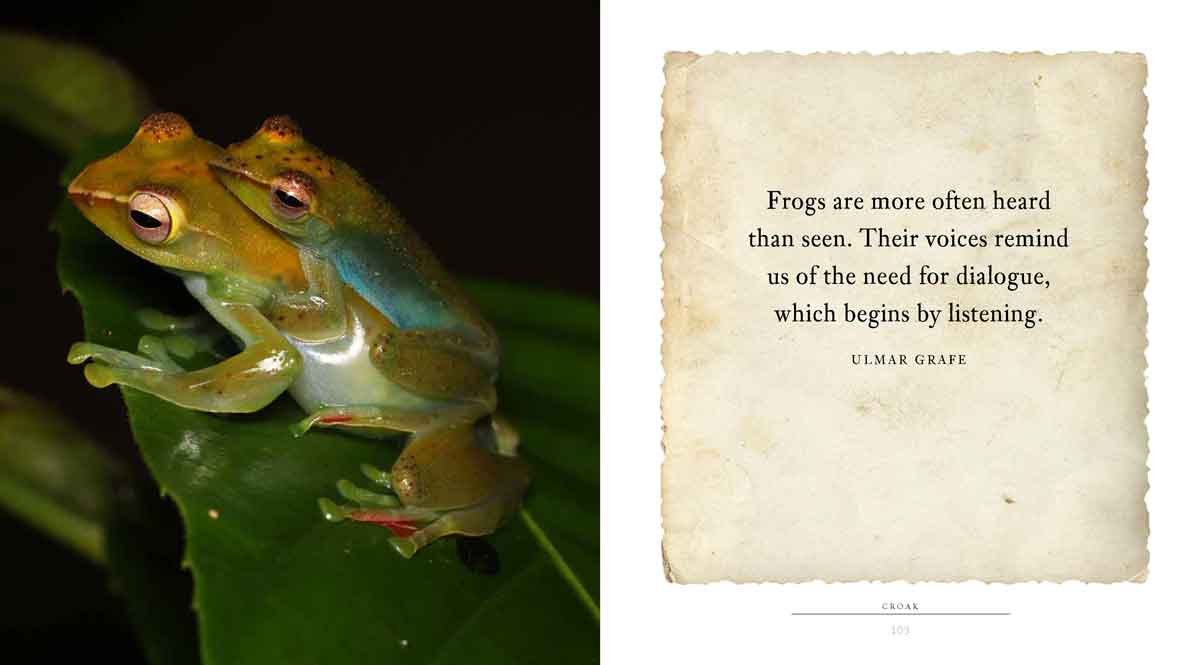 CROAK is a book frog lovers of all ages will enjoy.
