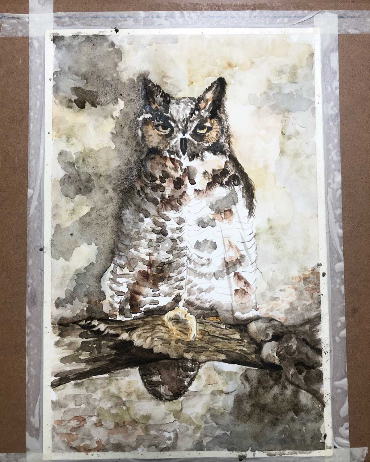 Making progress on my painting of a great horned owl.