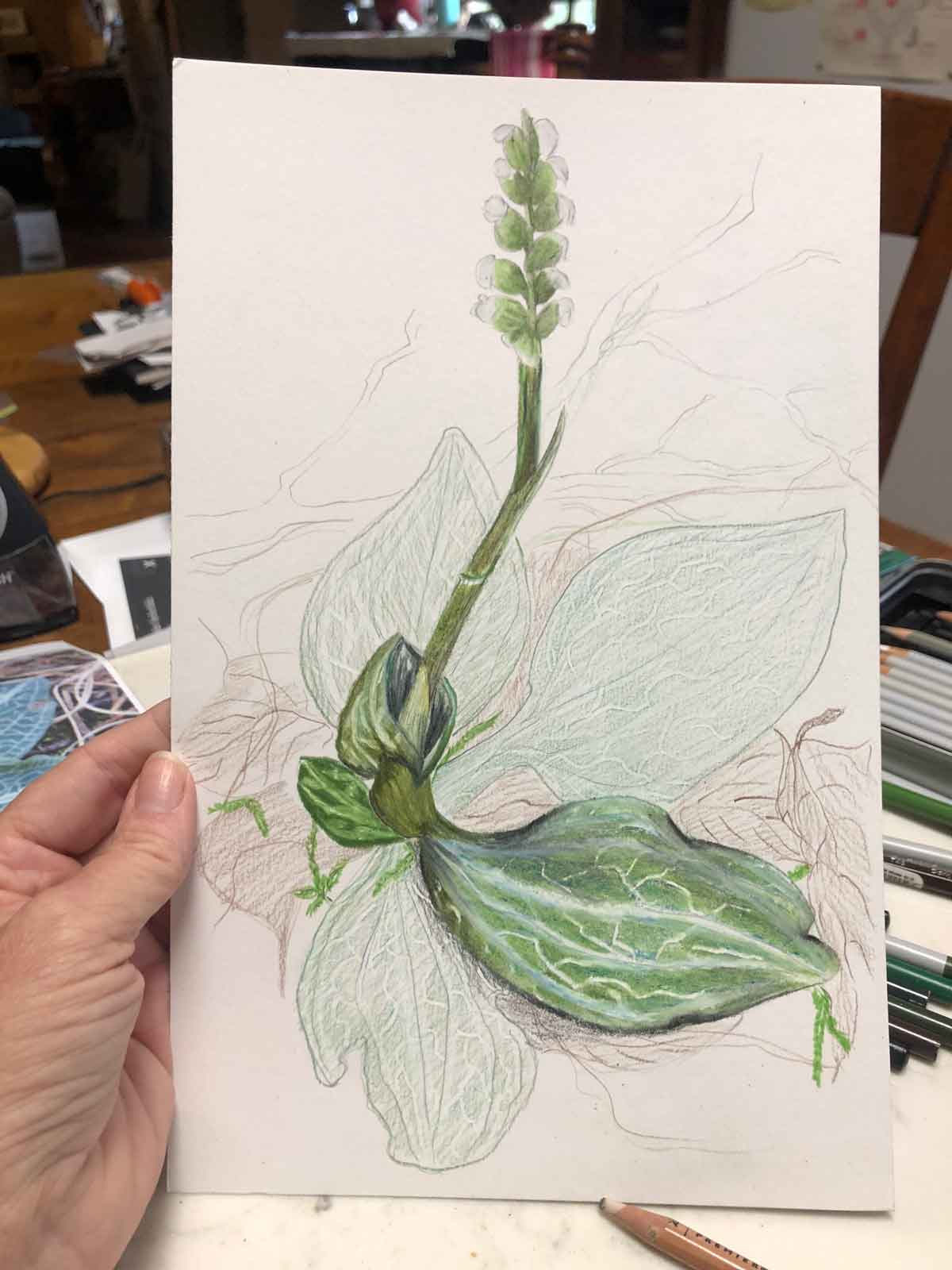 colored in a leaf and stem with flowers