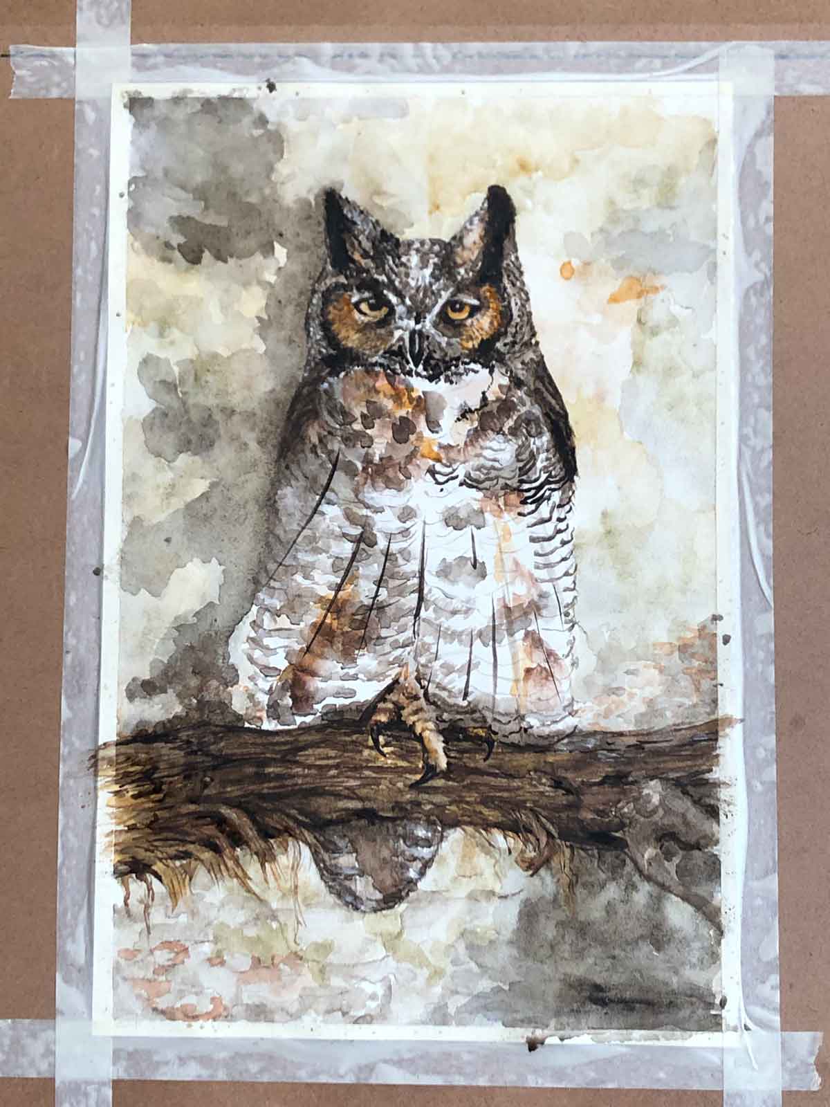 painting of great horned owl in progress - changed the branch to cedar