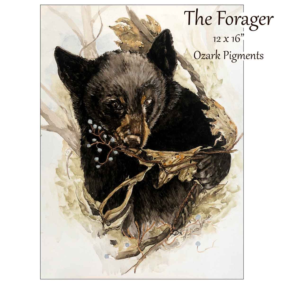 The Forager, a painting in Ozark pigments by Madison Woods, was accepted into Watercolor USA 2022.
