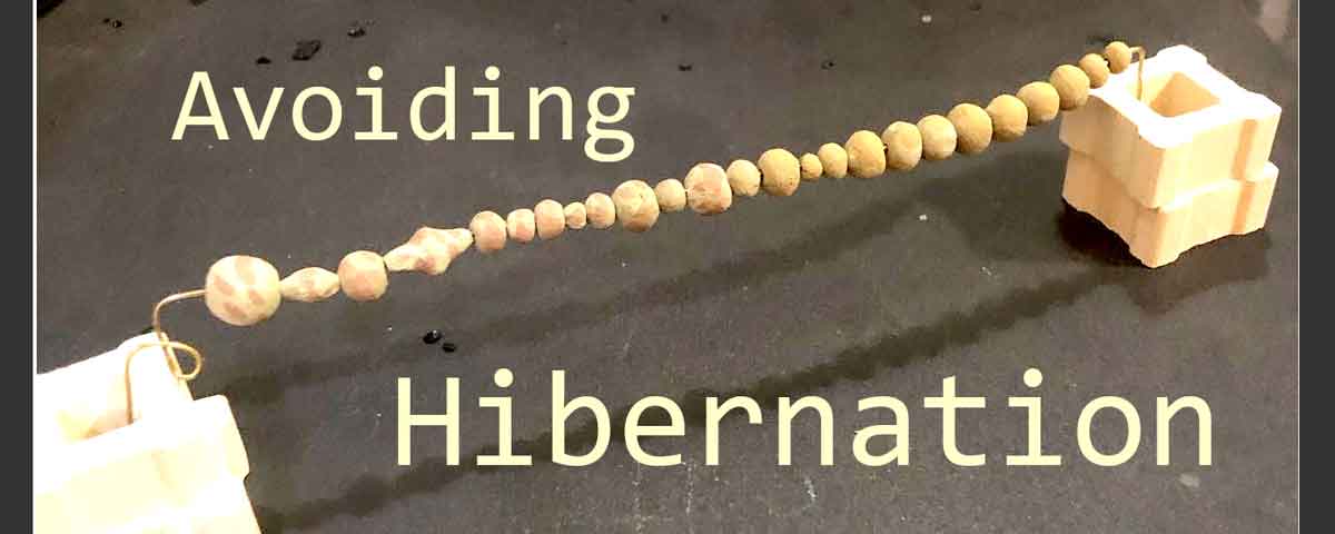 Hibernation Avoidance | Hermit Musings
