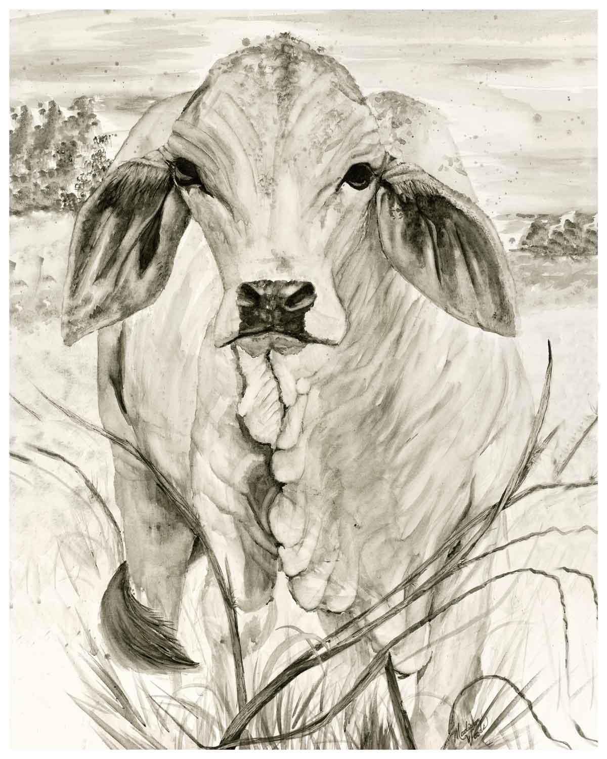 Brahman cow painted in bone pigments by Madison Woods. She loves to share the awe at the possibility of things like this.