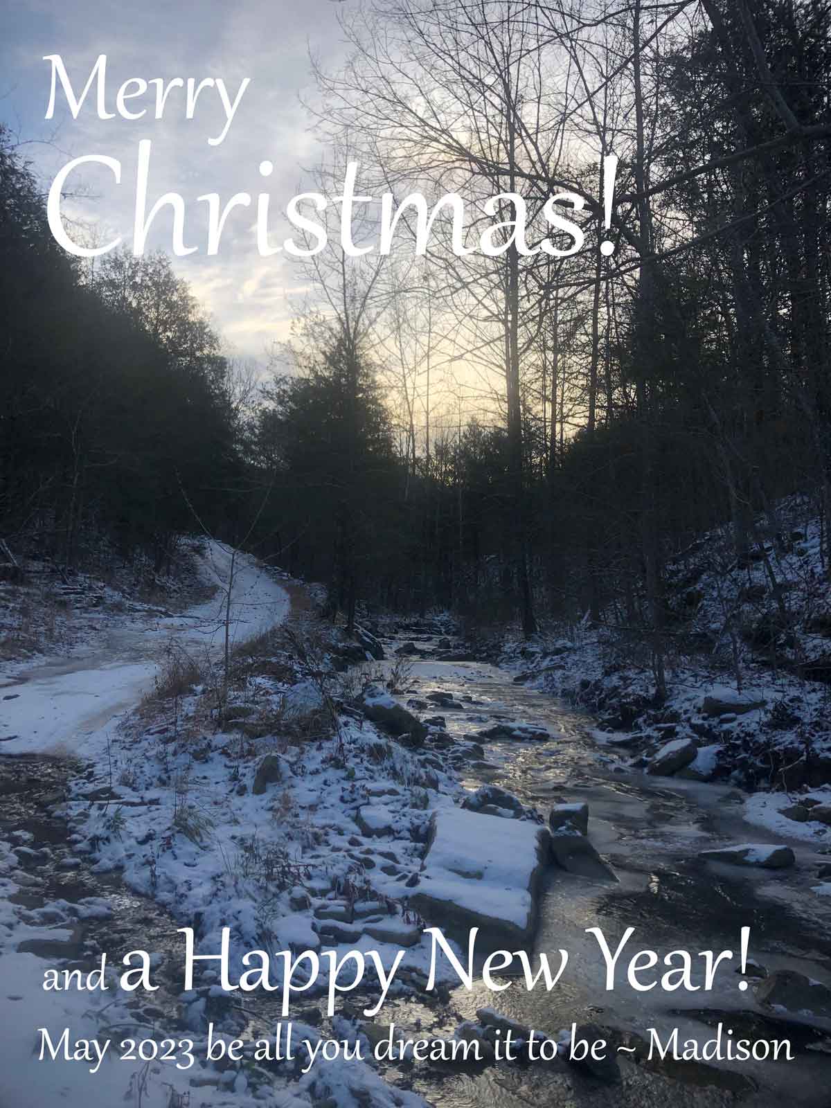 Merry Christmas and Happy New Year from Madison Woods and Wild Ozark.
