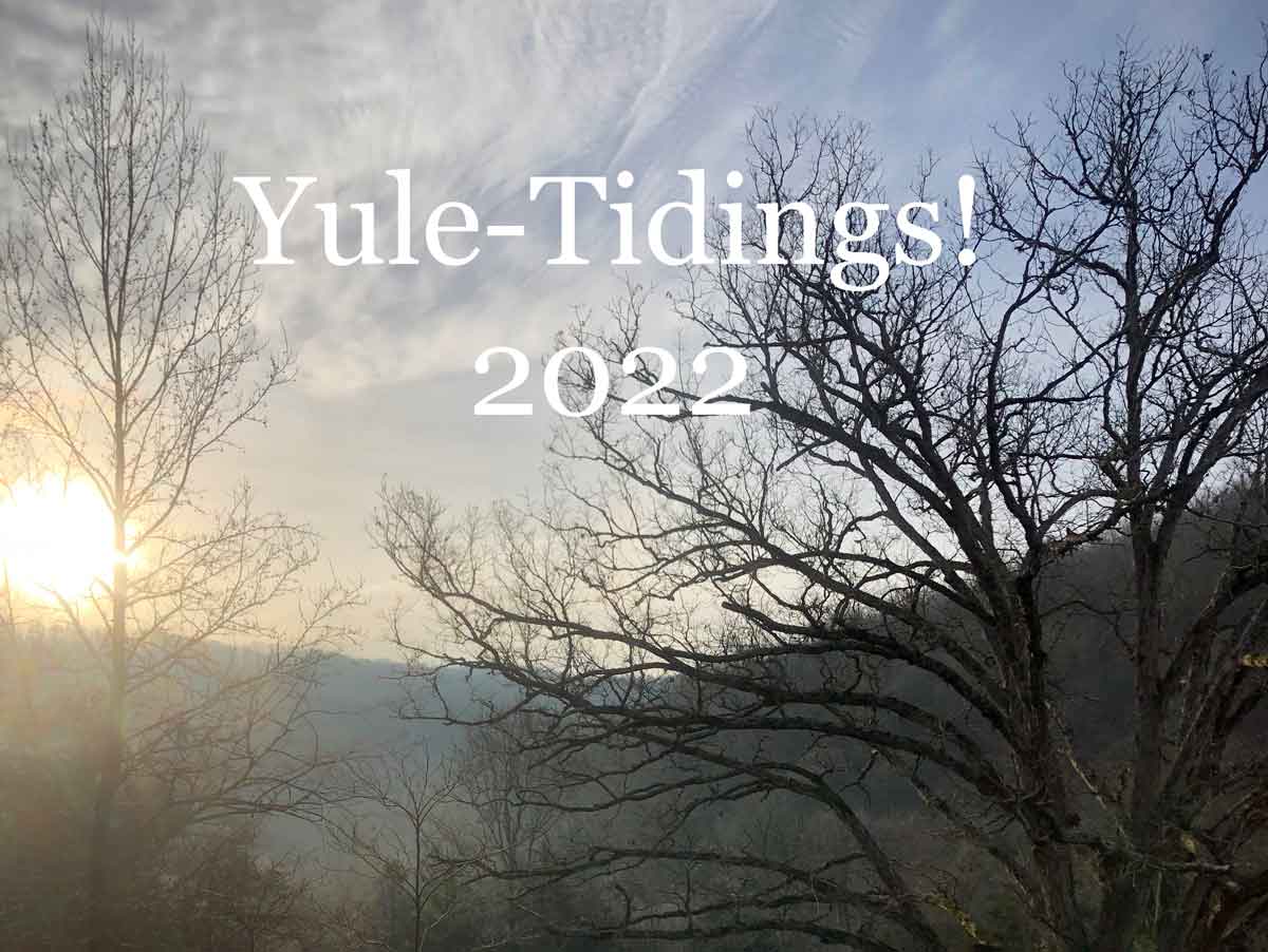 It's time for my annual 2022 Solstice Review, a look back at the year for Wild Ozark.