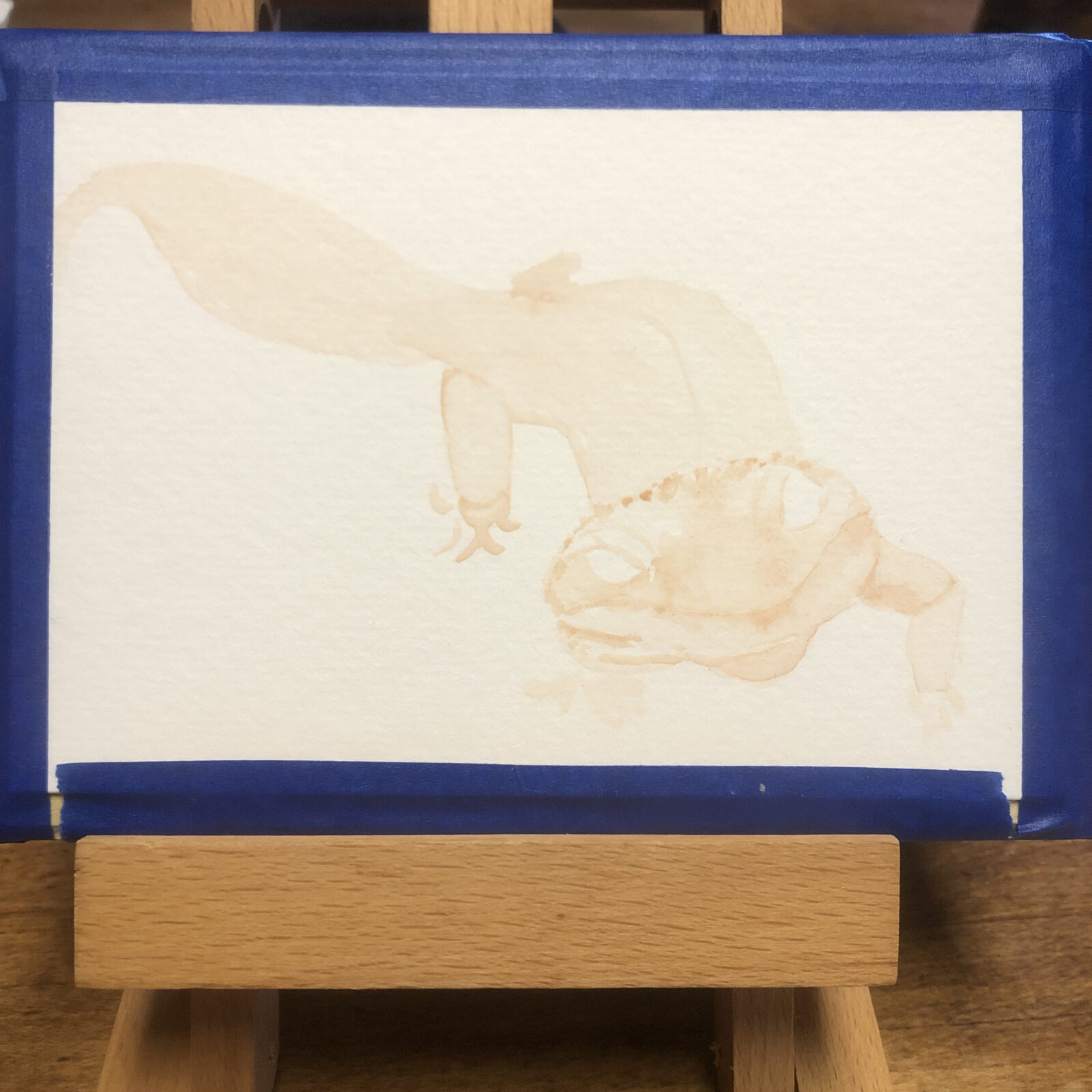 Just getting started on the first of the gecko paintings.