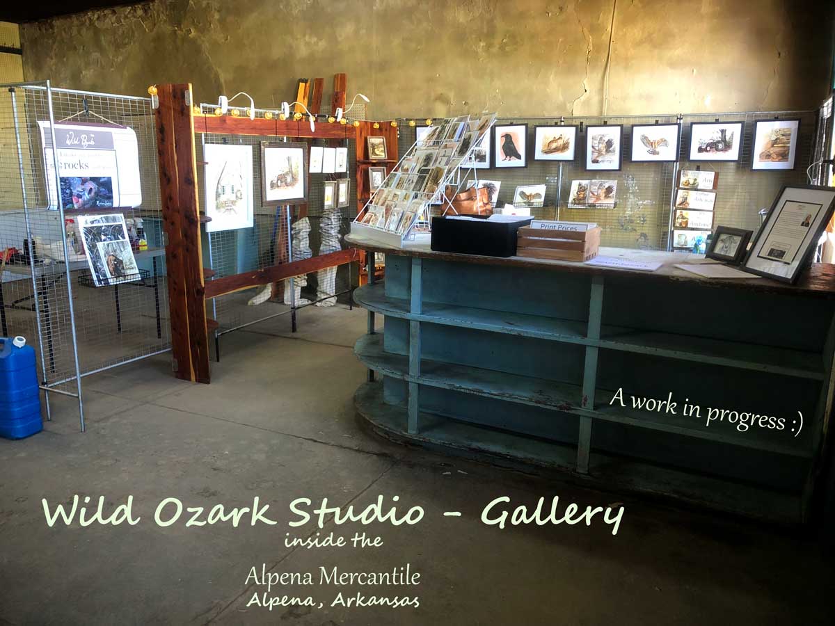 The Wild Ozark Studio Gallery inside the Alpena Mercantile in Alpena, AR.