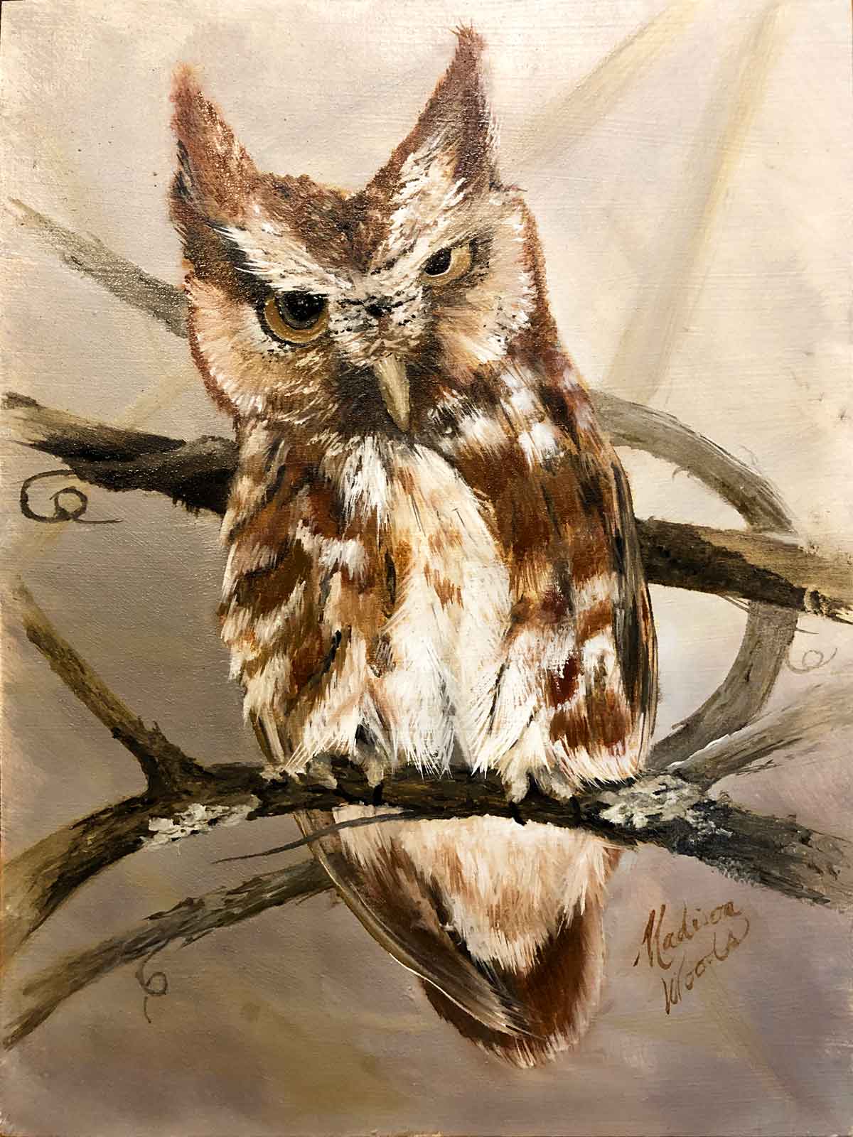 Painting of a Screech Owl | Ozark Birds of Prey