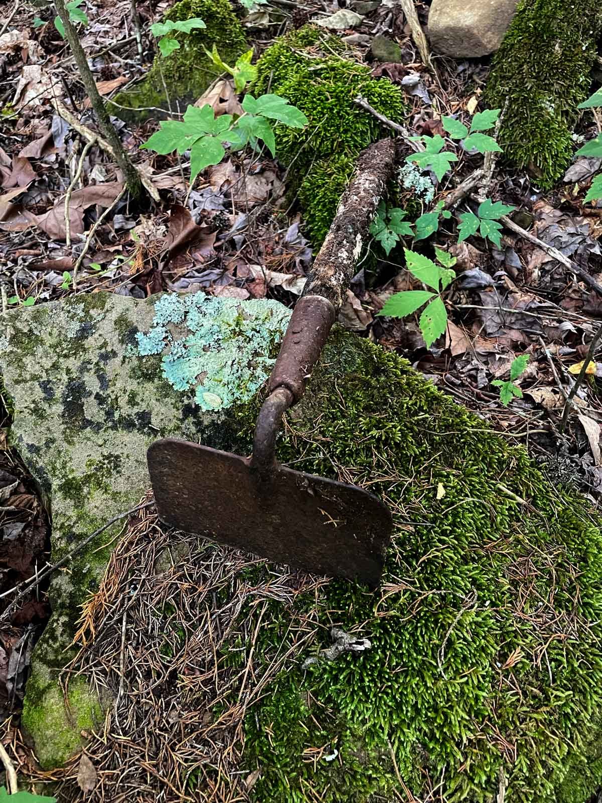 An old hoe forgotten on a mossy rock.