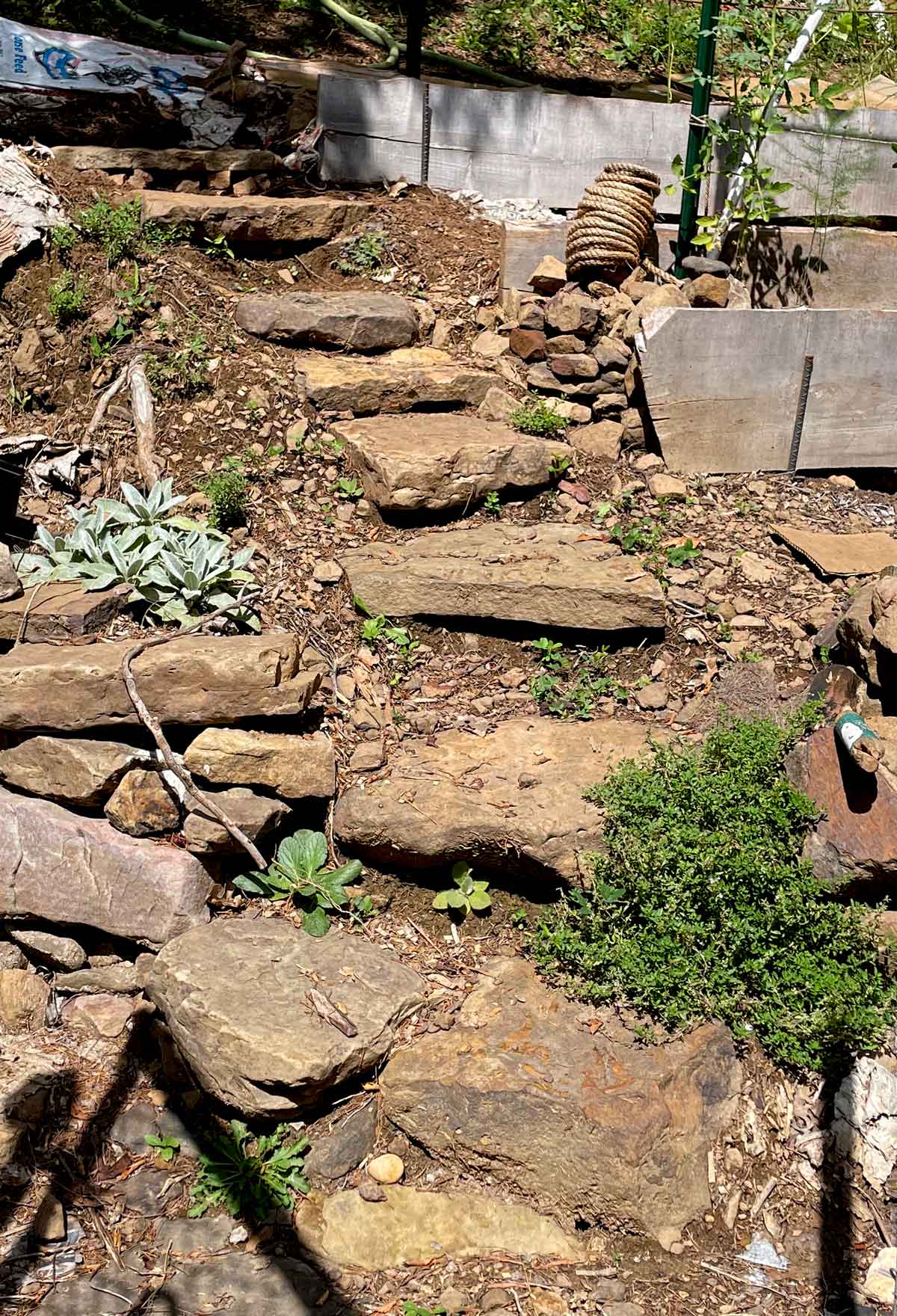 Stonework steps in my garden. This is the second set and has more steps than the first set. But these rocks aren't as hefty as the first ones.