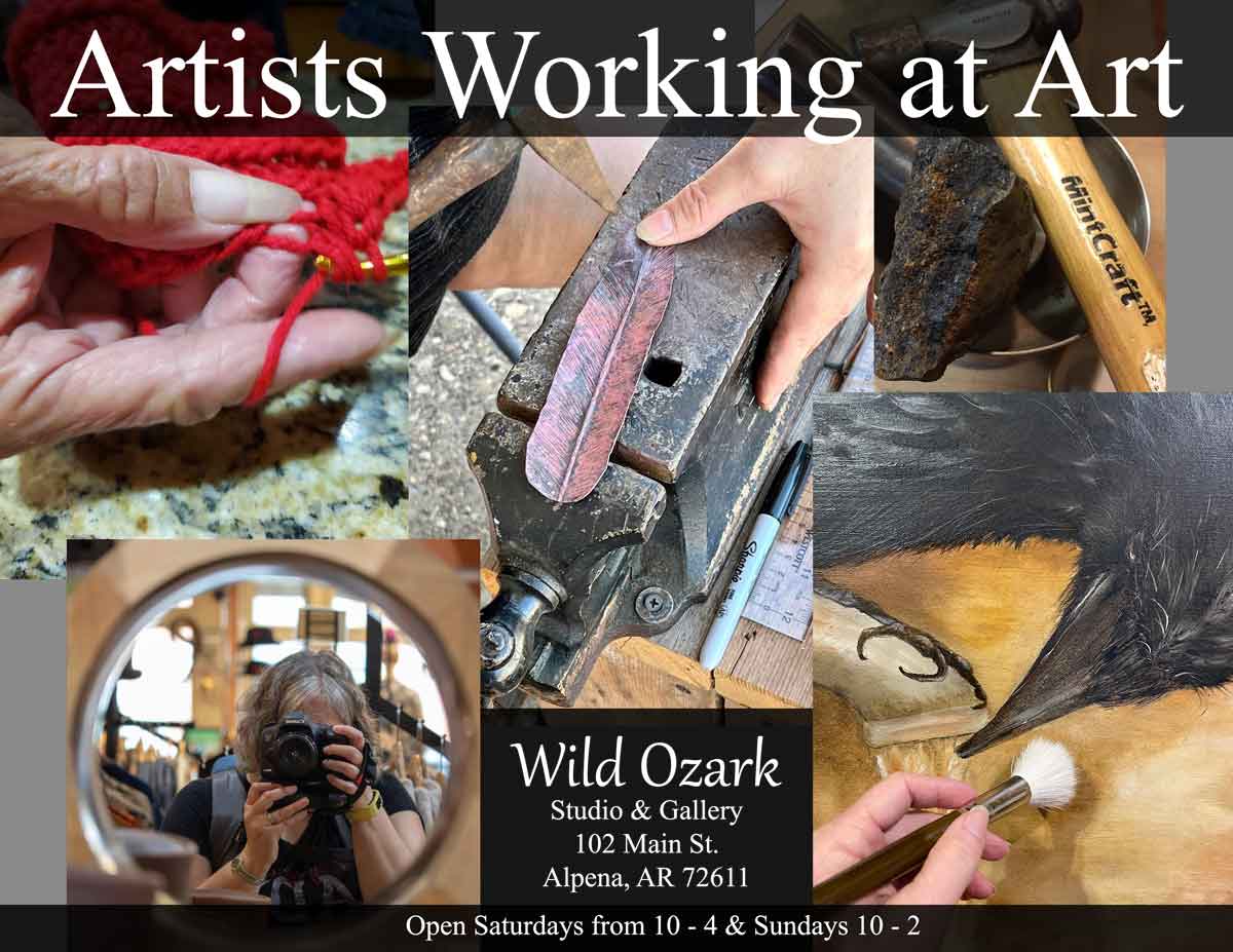 At the Wild Ozark Studio & Gallery, we're always artists working at art. Drop by to watch!