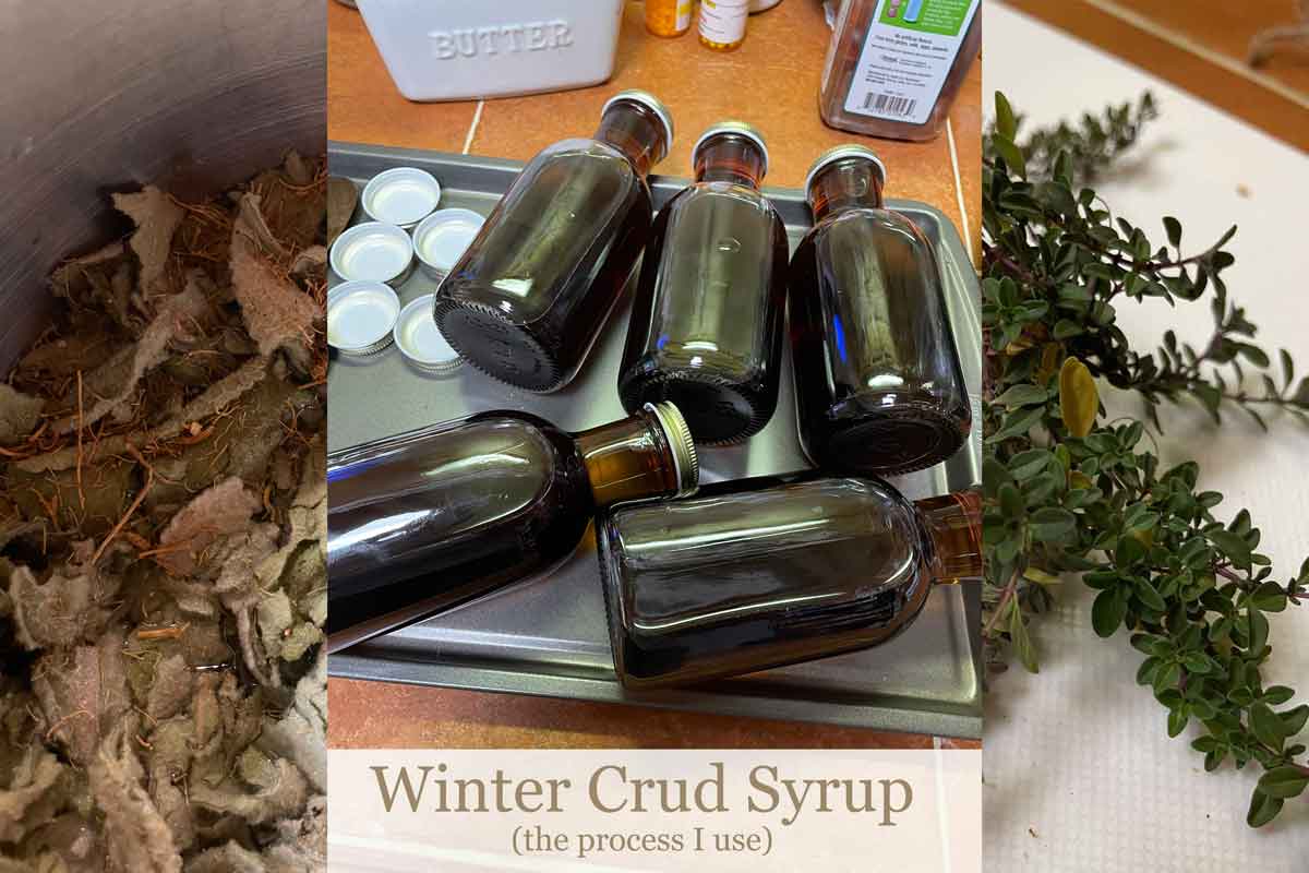 Featured image for the blog post about making Winter Crud Syrup. Shows a pot with mullein leaves, bottles filled, and a sprig of garden thyme.