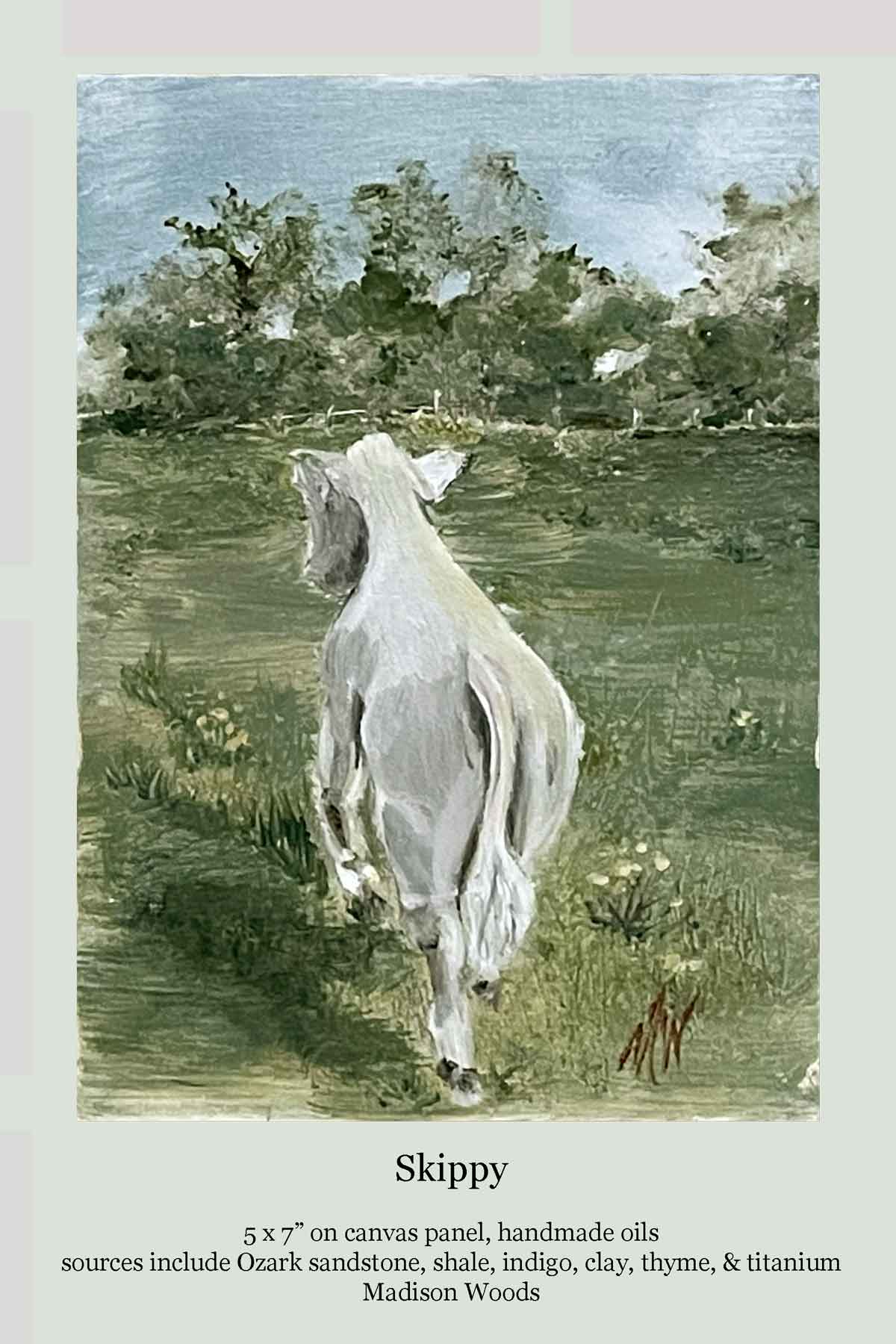 A painting of a white calf by Madison Woods.