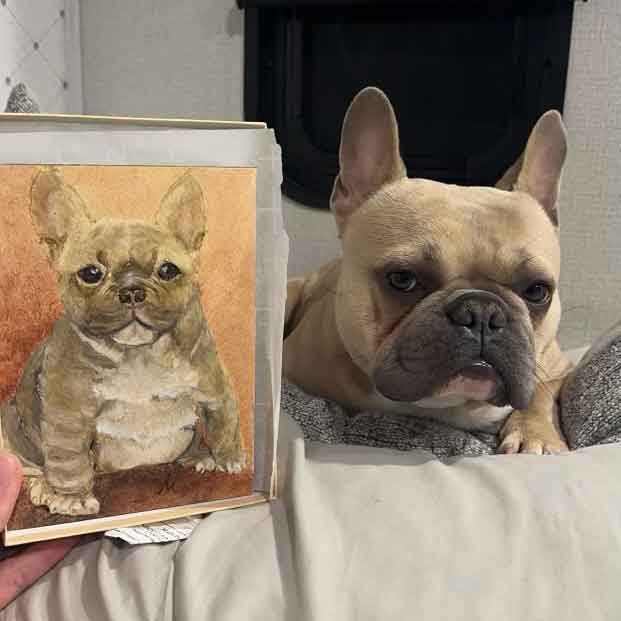 Hugo the adult French Bulldog with his portrait as a puppy.