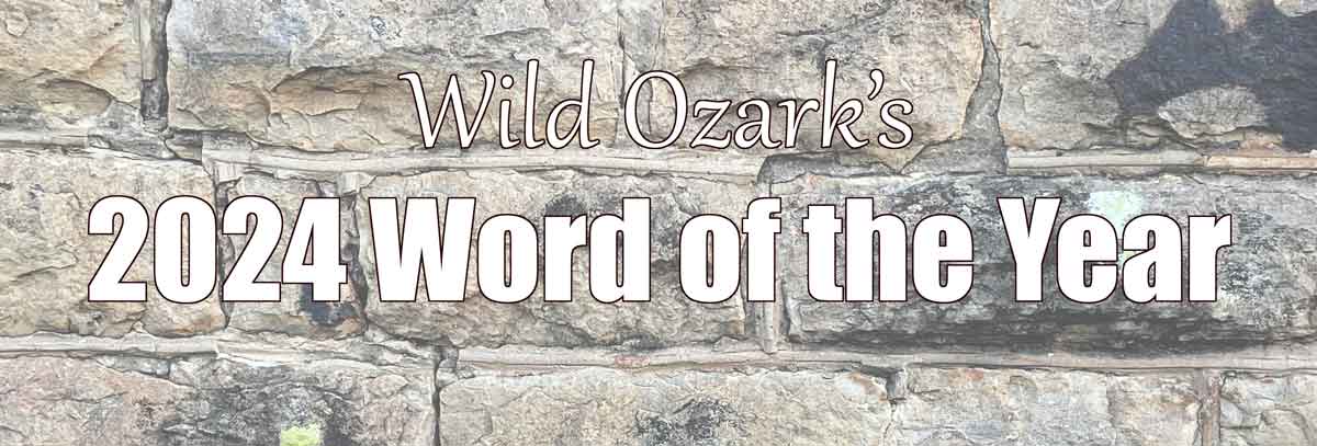 Word of the year banner