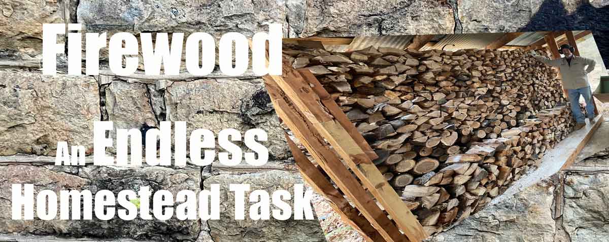 Cutting Firewood, an Endless Homestead Task