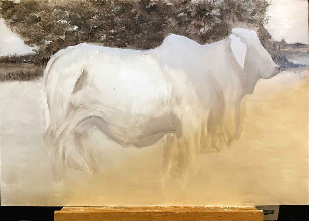 Brahman Mama #905 | Cow Art | Wild Ozark™