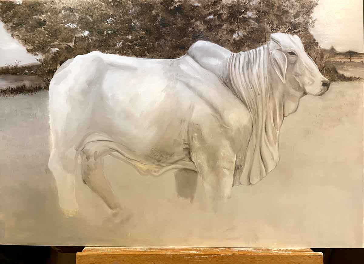 Brahman Mama #905 | Cow Art | Wild Ozark™