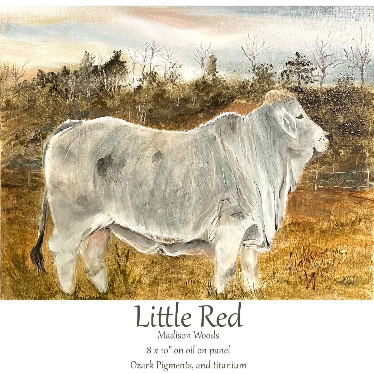 Little Red, a Brahman heifer in Ozark oil pigments. A painting in my Brahman cow art series.