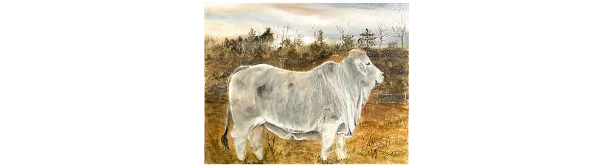Brahman Cow Art | Painting Little Red
