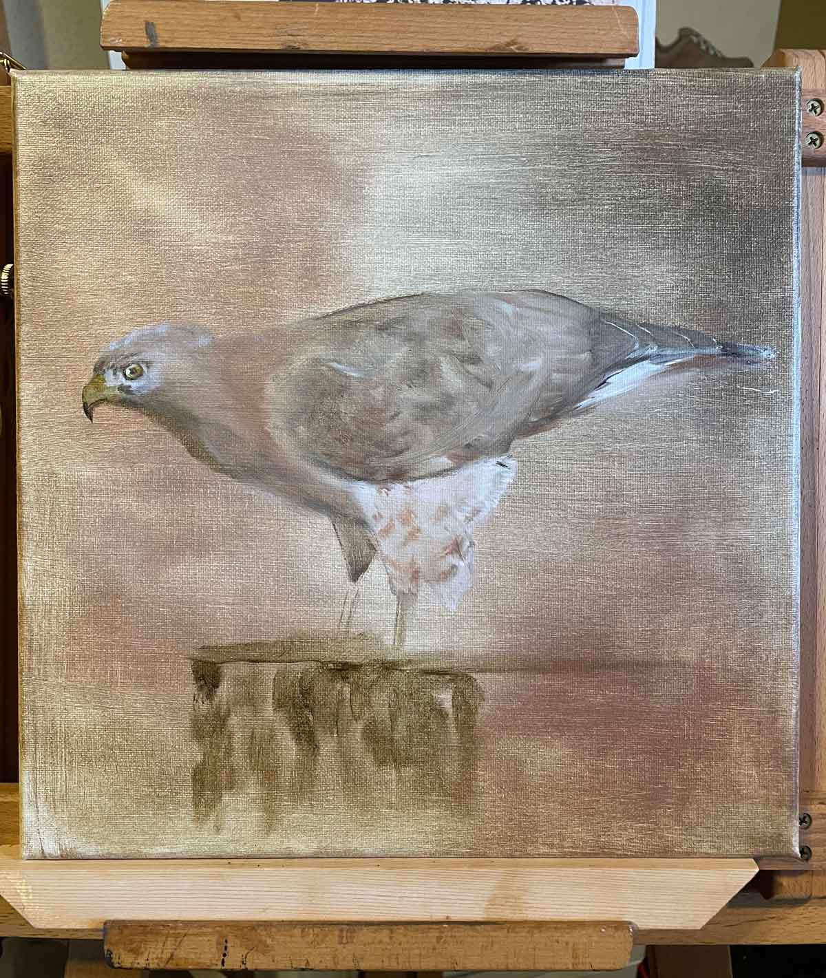 Working on a broad-wing hawk painting in Ozark oil pigments.