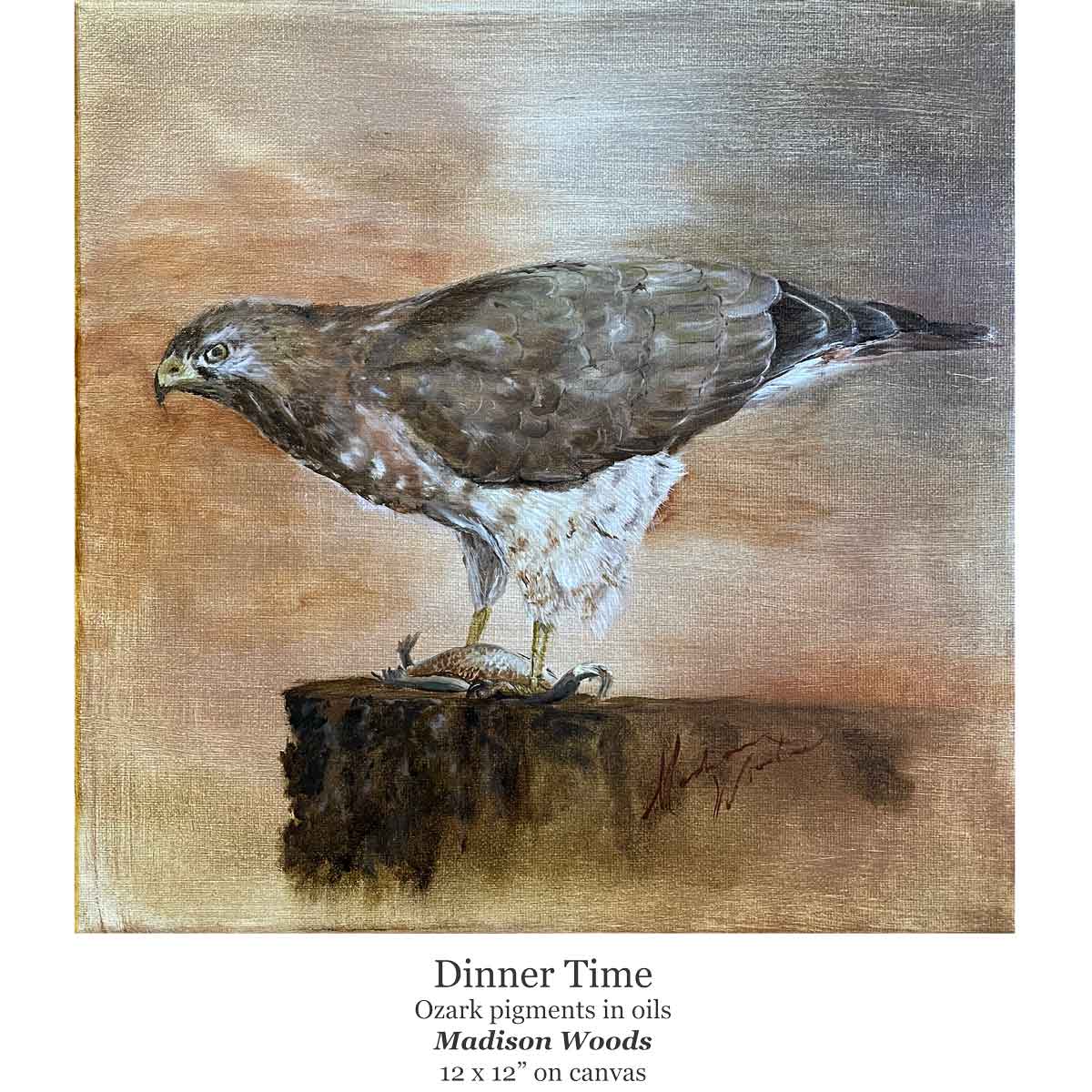 Dinner Time, a broad-wing hawk painting by Madison Woods in Ozark oil pigments.