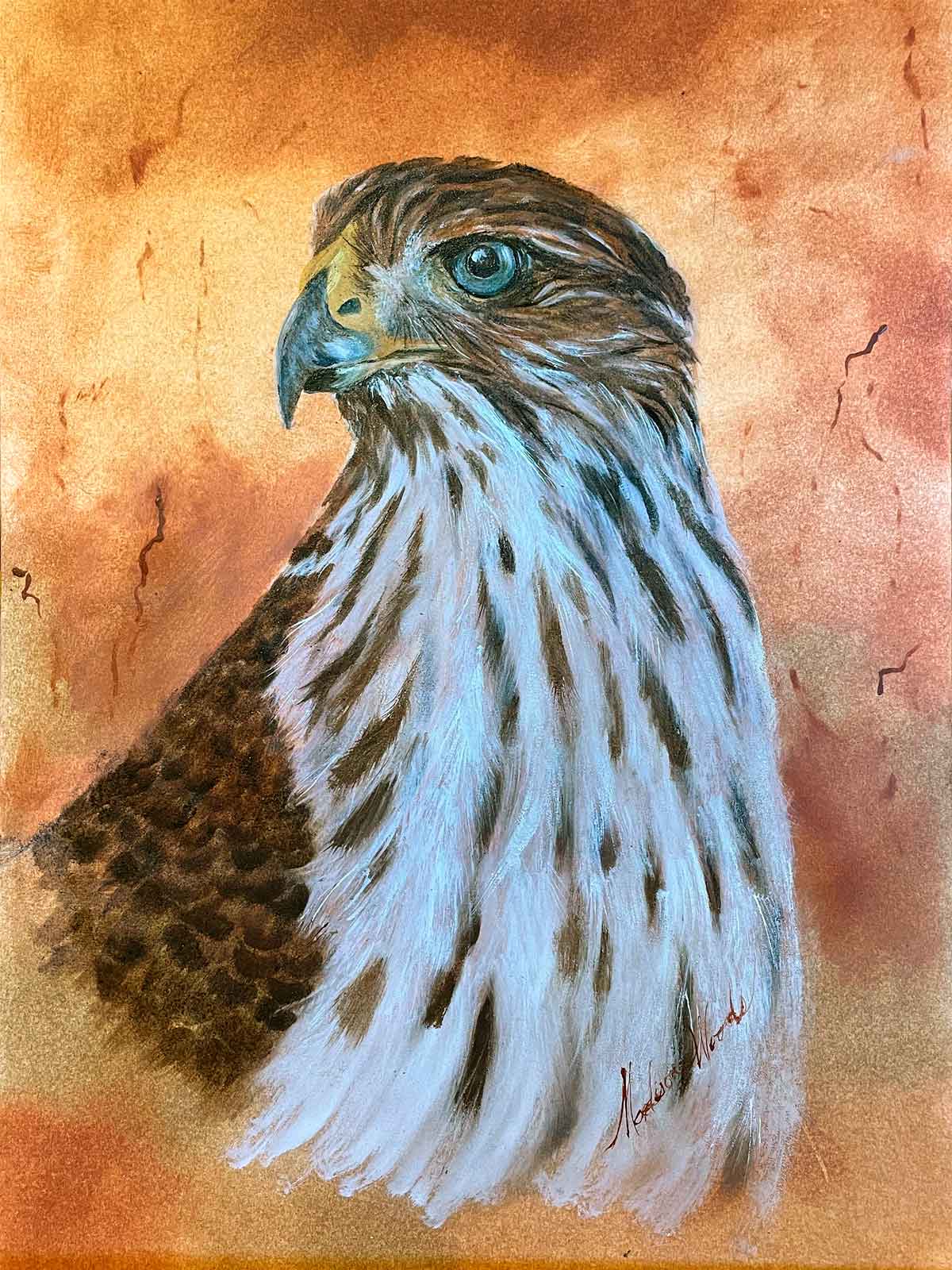 An original oil painting of a Cooper's hawk by Madison Woods.